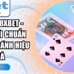Bài Tấn 8xbet